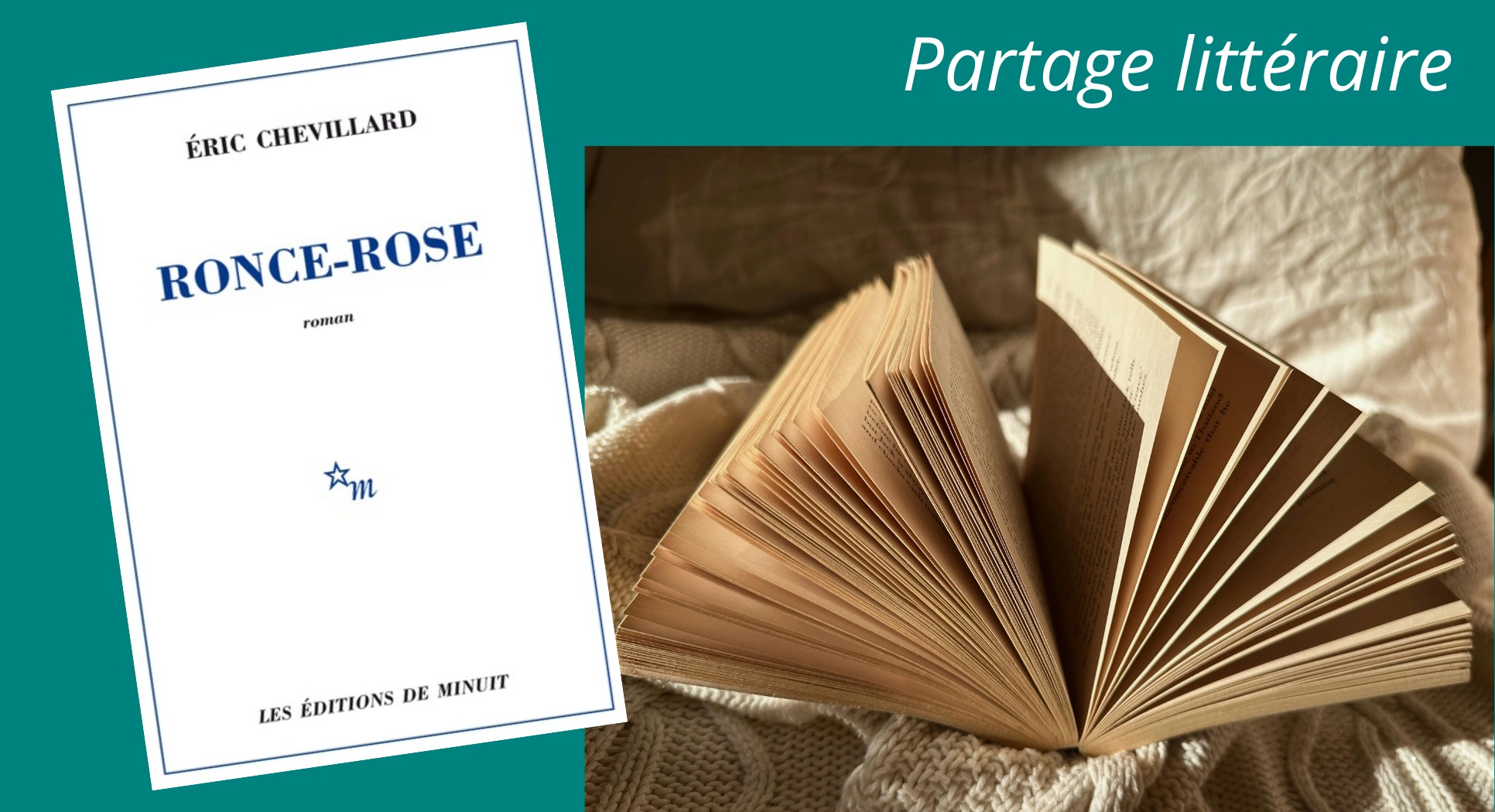 Partage littéraire : Eric Chevillard, Ronce-Rose : rire, raisonner, s’émerveiller - 26.220